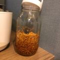 柚子木's cooksnap of when they made 醤油麹の作り方.