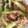 ma___111's cooksnap of when they made 生ハムときゅうりの胡麻和え.