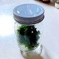 azbjbn's cooksnap of when they made ∞長持ちする∞しその保存の仕方∞.