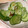 mcc5646's cooksnap of when they made きゅうり 旨っ‼....「胡瓜の旨だれ✿レモン」です♡.