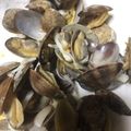 ＫＩＫＯ姫's cooksnap of when they made アサリの酒蒸し.