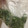 茶々くりこ。's cooksnap of when they made 簡単！ゴーヤの保存方法☆.