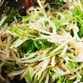 noaさん's cooksnap of when they made もやしと水菜の手抜き中華風サラダ.