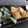 クック3I7O26☆'s cooksnap of when they made 冬瓜と皮の唐揚げ.