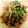 sora0709's cooksnap of when they made おくらとスパム炒め.