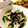 きょんこ☘'s cooksnap of when they made きのことほうれん草とベーコンのバター炒め.