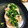 Kid3120's cooksnap of when they made 10分で完成！時短で簡単よだれ鶏.