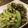 えるみちゃん's cooksnap of when they made ほくほく！フライパンで焼き枝豆.