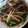 ami-rarara's cooksnap of when they made ひき肉ともやしのシャキシャキ炒め.