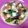 miomioko's cooksnap of when they made アレンジ ピタ フェタチーズ ピザ.