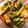 れれれんこん。's cooksnap of when they made 5分で完成！空芯菜のオイスター炒め.
