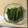 クックFBFGJ6☆'s cooksnap of when they made 下茹でなし！簡単♪オクラの浅漬け.