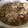 しかたん♫'s cooksnap of when they made 簡単、鳥モモ肉大根おろし煮。.