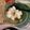 ハナナナりん's cooksnap of when they made モッチモチ(ﾉ´∀｀*)本格☆寒ざらし.