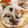 そらてんママ's cooksnap of when they made 焼売餃子の皮でおつまみピザ.