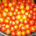 みえちゃん's cooksnap of when they made 大量プチトマトの冷凍保存.