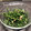 みええるも's cooksnap of when they made おかひじきのマヨツナとぽん酢和え.