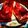 すみま～る's cooksnap of when they made ブルーベリージャムトースト！＋クリチ！.
