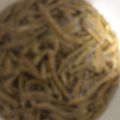 ma___111's cooksnap of when they made ベビースターラーメンにお湯♪(笑).