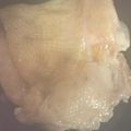 ma___111's cooksnap of when they made 鶏もも肉のピリ辛グリル【作り置き】.