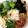 rin0418r24's cooksnap of when they made 冷やしうどん.