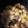 クックW4301V☆'s cooksnap of when they made 楽しい嬉しい柔らか豚の角煮◎.