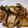 クック6DDPP8☆'s cooksnap of when they made 豚肉と厚揚げのしょうが焼き♪.
