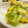 maruru-nn's cooksnap of when they made 絹さやと卵のガリマヨ炒め.