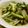 maruru-nn's cooksnap of when they made ふじっ子で簡単！昆布ツナ白菜炒め☆.