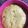 oduko's cooksnap of when they made ずぼら　りんごケーキ.