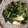 手抜きクック's cooksnap of when they made 小松菜ちくわ厚揚げのさっと煮.