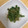 みりん調味料's cooksnap of when they made 簡単！しゃきしゃきアスパラのごま和え.
