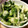 クックV4WJS0☆'s cooksnap of when they made ☺ご飯のお供に☆簡単♪セロリの浅漬け☺.