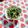 あやちん０８１６'s cooksnap of when they made 豆苗と鶏ひき肉の塩麹炒め.