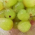 モジャ時々ツルツル's cooksnap of when they made ズボラな私の簡単な葡萄の皮むき.