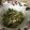 クックJW0WTZ☆'s cooksnap of when they made たっぷり豆苗の中華サラダ.