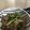 クックJW0WTZ☆'s cooksnap of when they made 8分でもう1品！豆苗とベーコン炒め.