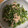 ちゃんちびーず's cooksnap of when they made 電子レンジで簡単 ピーマンとツナの和え物.