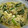 林檎ﾀﾝ's cooksnap of when they made かさ増し！ふわふわニラ玉炒め.