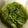 クックXZLXBP☆'s cooksnap of when they made 無限ピーマン.