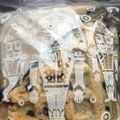 ikokev's cooksnap of when they made 朝食用 全粒粉ワッフル（アメリカン）.