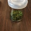 ♦りんぷく♠'s cooksnap of when they made 乾燥パセリ.