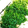 ムーミン☆ママ's cooksnap of when they made 超!!時短!! 薬味ねぎ切り方.