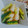 ・ねぎま's cooksnap of when they made 簡単 大根ときゅうりの漬物.