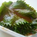 ღライチღ's cooksnap of when they made ご飯モリモリ☆青しそのコチュジャン醤油漬け！.