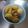 クック6EEORP☆'s cooksnap of when they made 鶏手羽元と大根のオイスターソース煮.