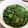 クックLH597C☆'s cooksnap of when they made レンジ作！モロヘイヤえのきオクラのサラダ.