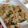 soratea's cooksnap of when they made ✿春菊とじゃこの香りご飯✿.