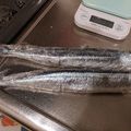 しらたまこむぎ's cooksnap of when they made サンマの保存方法*.