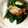 beroneete's cooksnap of when they made 長芋とおくらのとろろ昆布和え　梅わさび風.